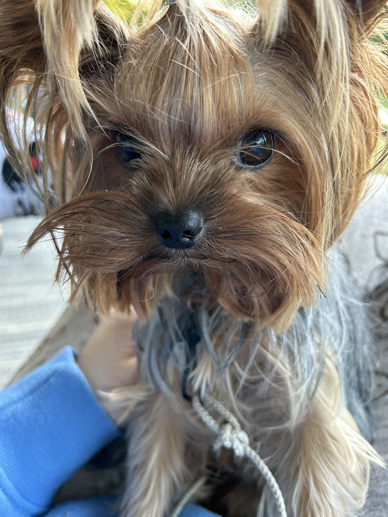 T'as un bonbon pour moi?