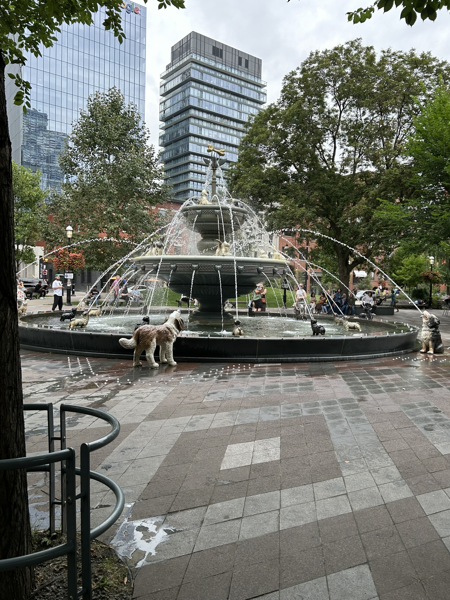 La fontaine aux chiens