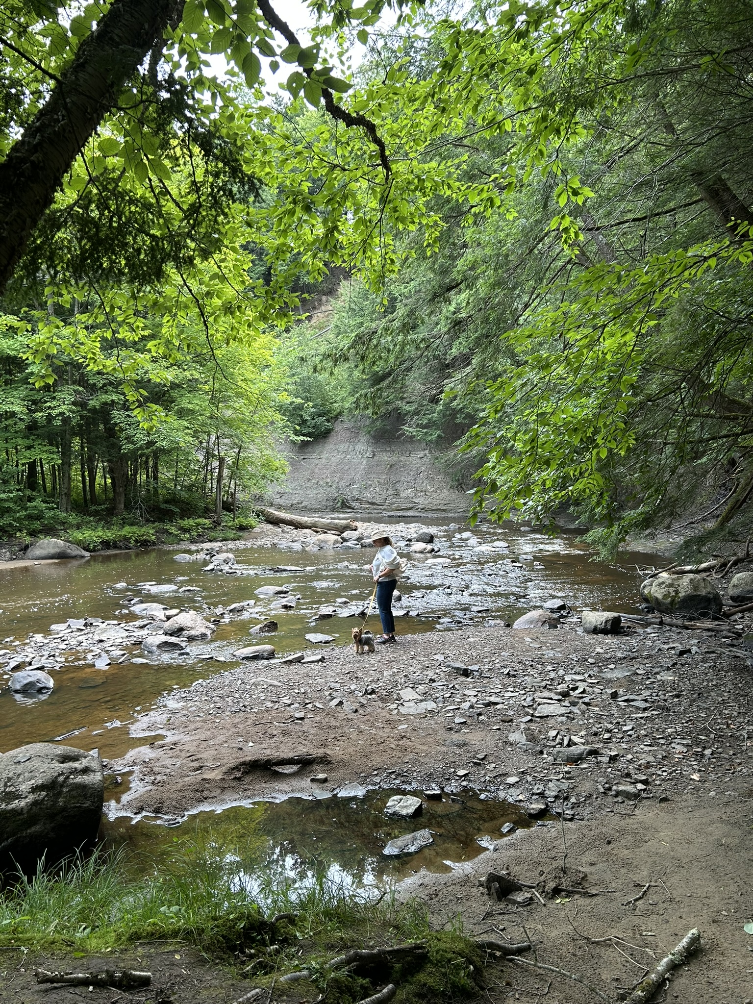 Promenade en forêt