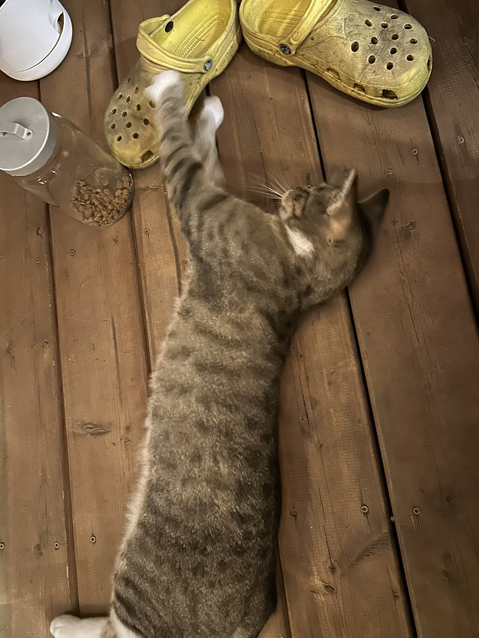 On joue avec les Crocs à papa